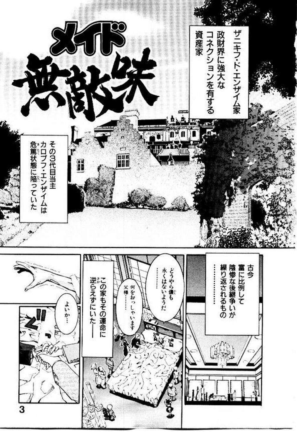 [堀博昭] メイド無敵味