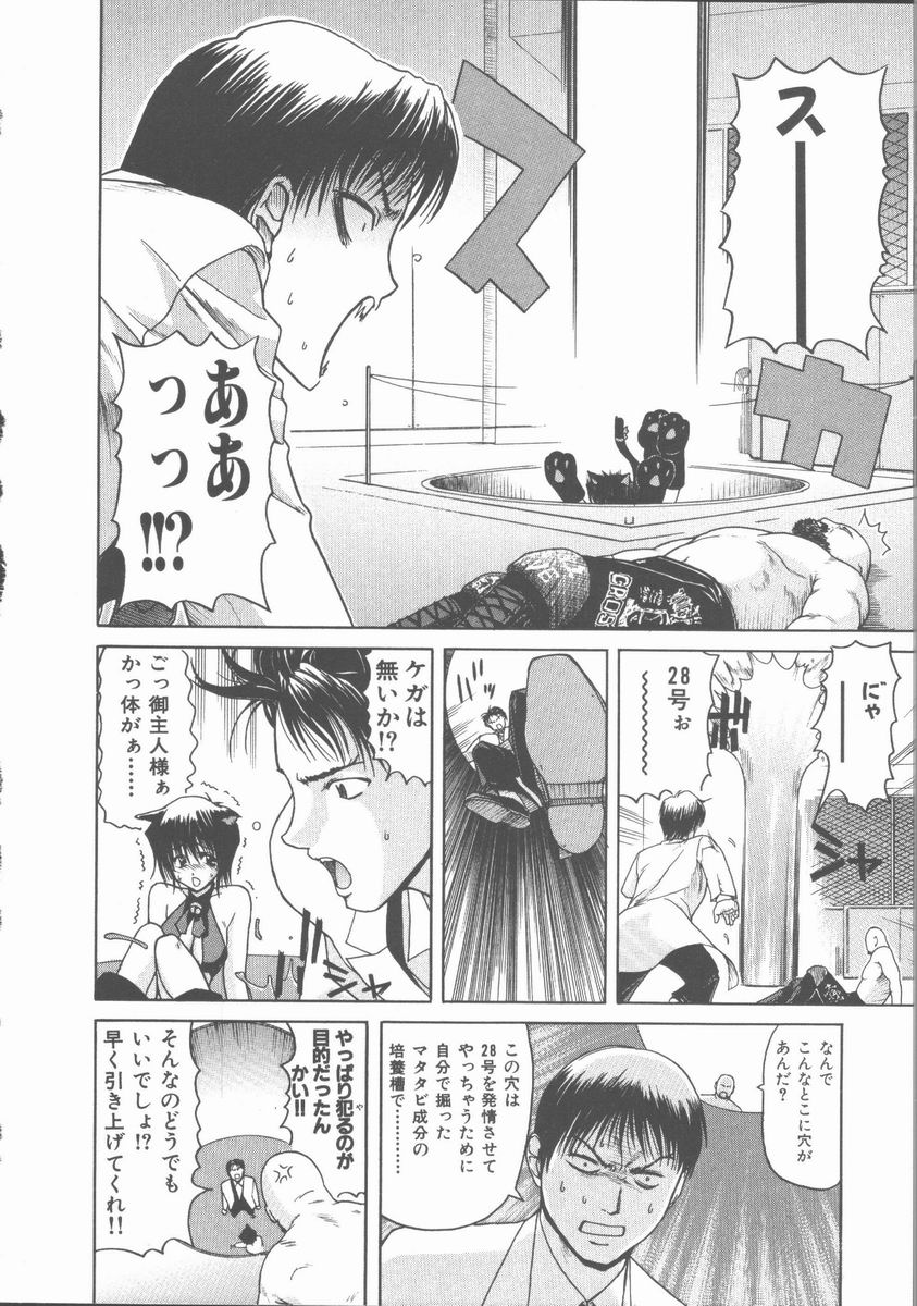 [堀博昭] ネコ耳大戦