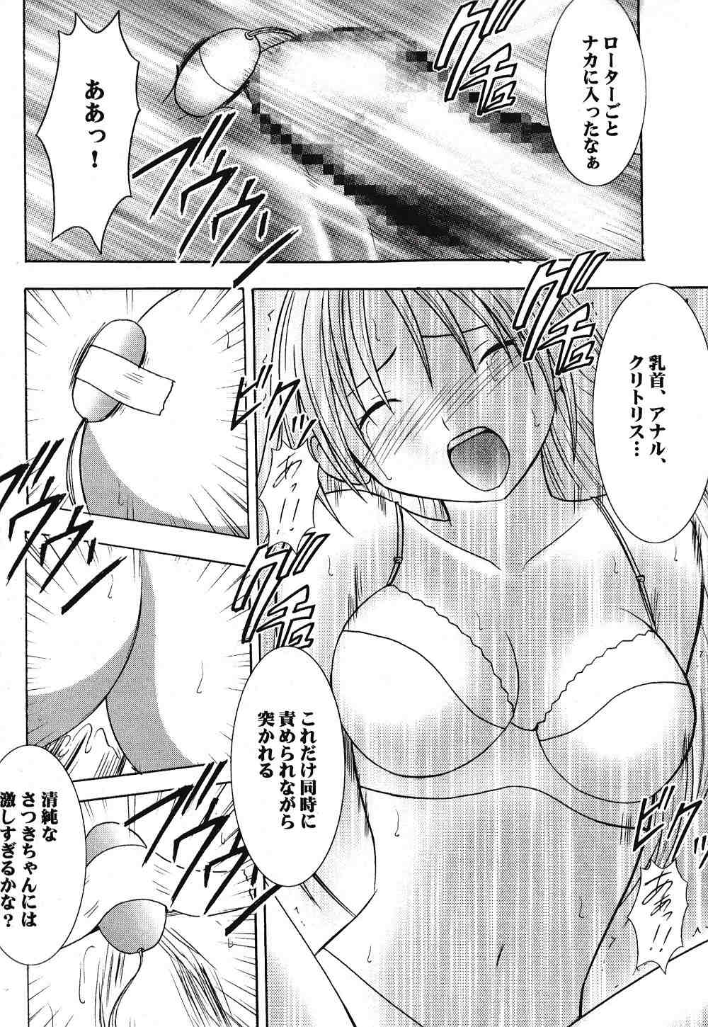 [クリムゾンコミックス (カーマイン)] 一期一会 2 (いちご100%)