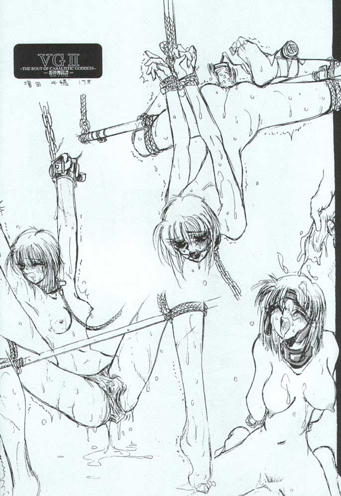 (C51) [TITANCOLOR BRAND (いのうえたくや)] HB16 (ヴァリアブル・ジオ)