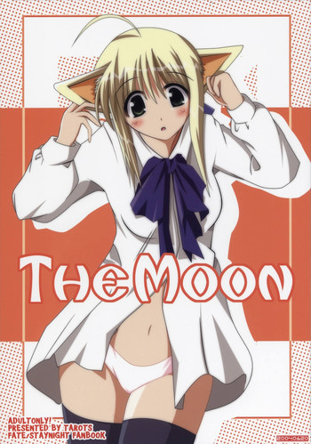 (サンクリ24) [TAROTS (澤野明)] THE MOON (Fate/stay night)