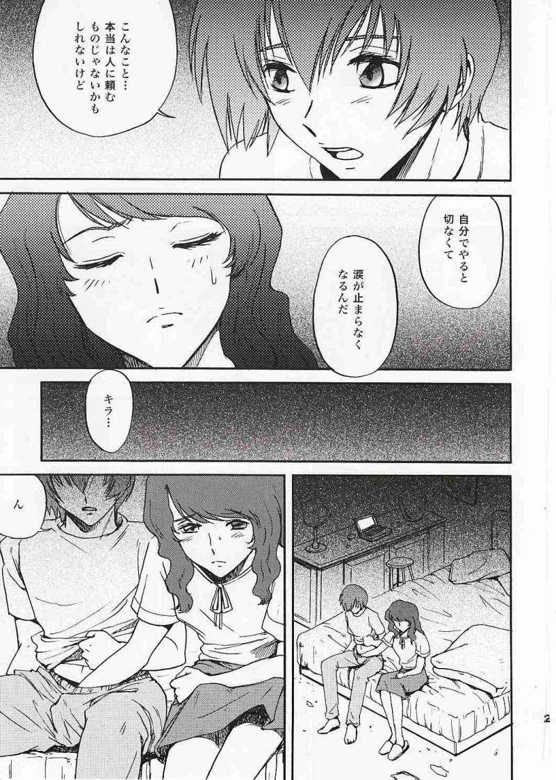(C69) [高達電脳公司 (ガンブラスター伊東)] SEEDなMAMAさん (機動戦士ガンダムSEED) [2006年01月29日 改]