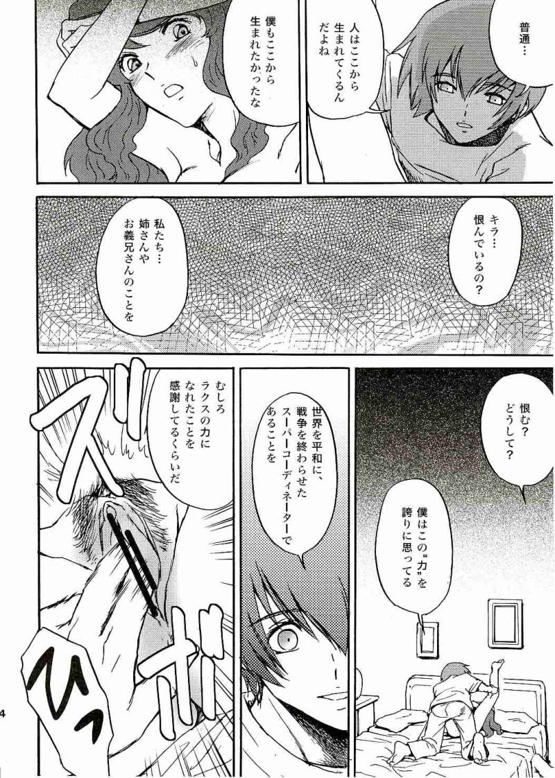 (C69) [高達電脳公司 (ガンブラスター伊東)] SEEDなMAMAさん (機動戦士ガンダムSEED) [2006年01月29日 改]