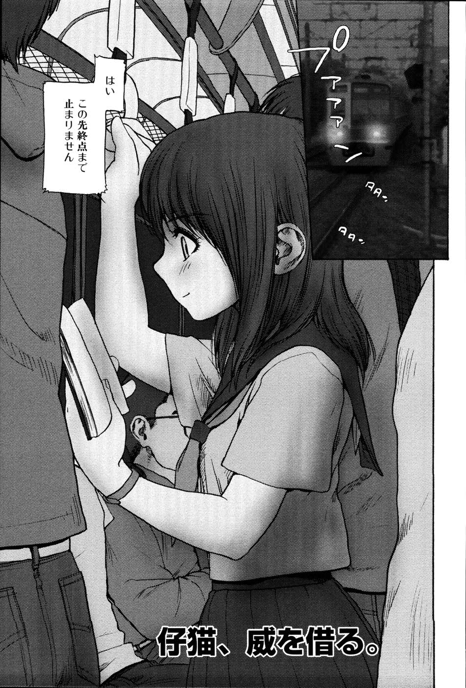 [らする] ストライプキャッツ