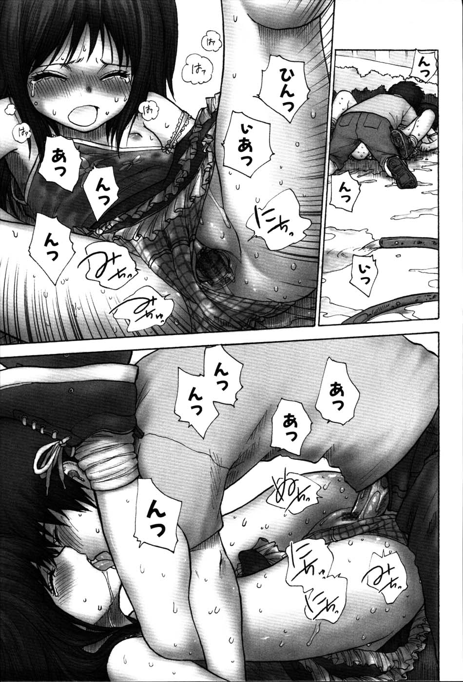 [らする] ストライプキャッツ