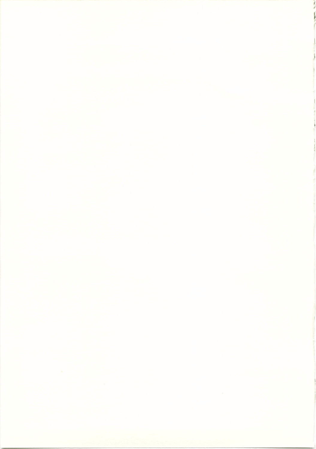 (C73) [よりみち (アーセナル)] 誘惑王女３ (怪物王女)