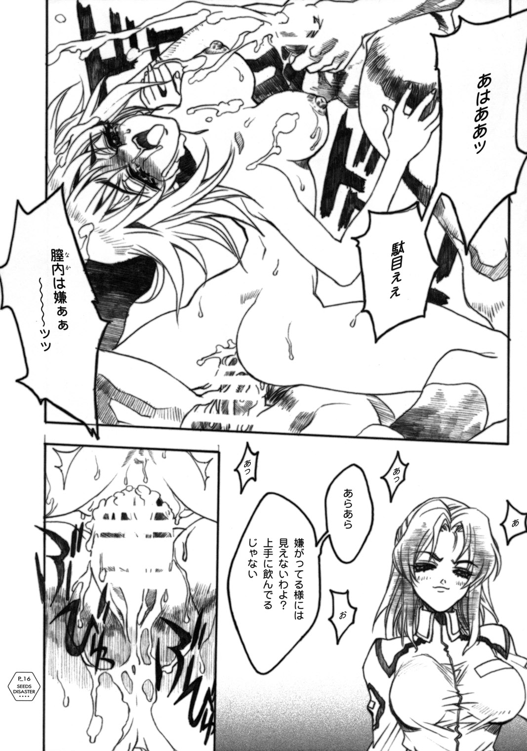 (C64) [Piggstar (名古屋鯱八)] SEEDS OF DISASTER (機動戦士ガンダムSEED)