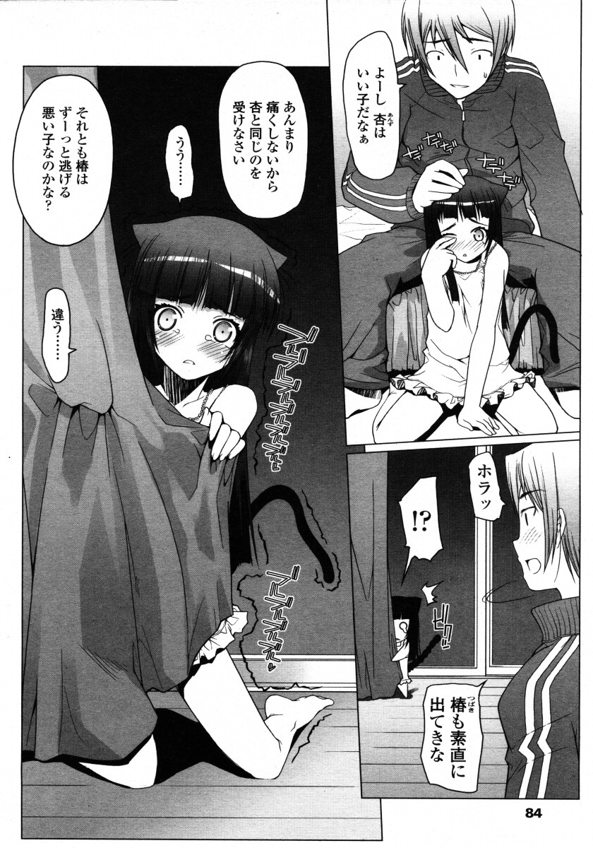 COMIC LO 2006年2月号 Vol.23