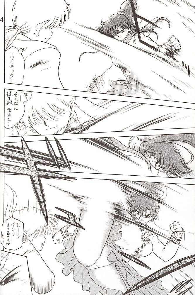 [BLACK DOG (黒犬獣)] STAR PLATINUM (美少女戦士セーラームーン)