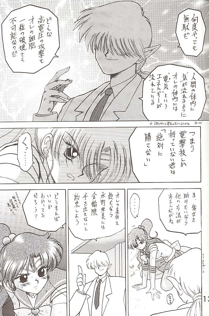 [BLACK DOG (黒犬獣)] STAR PLATINUM (美少女戦士セーラームーン)