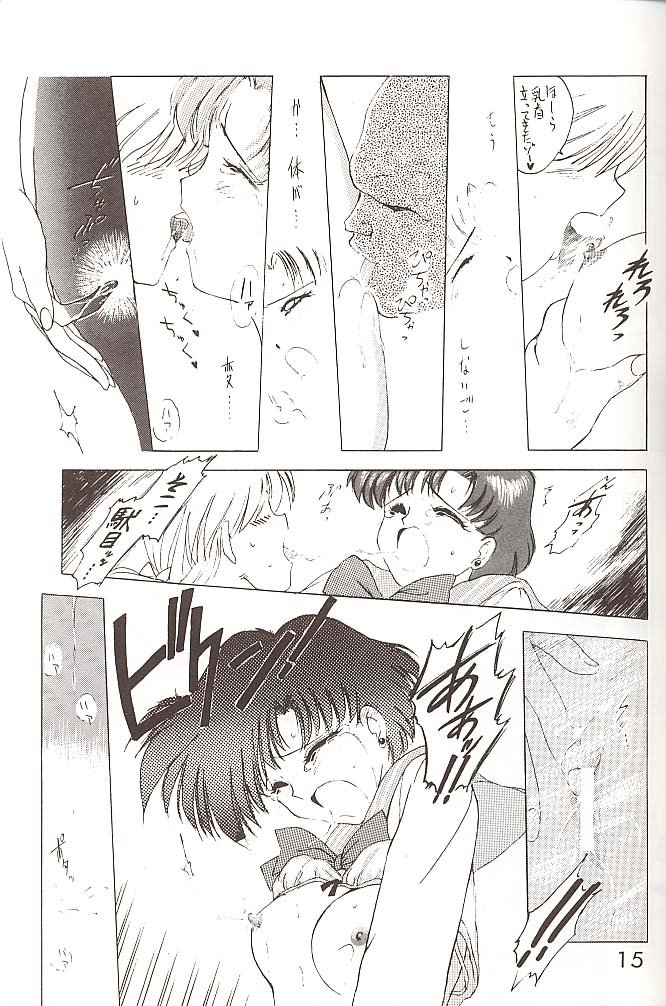 [BLACK DOG (黒犬獣)] STAR PLATINUM (美少女戦士セーラームーン)