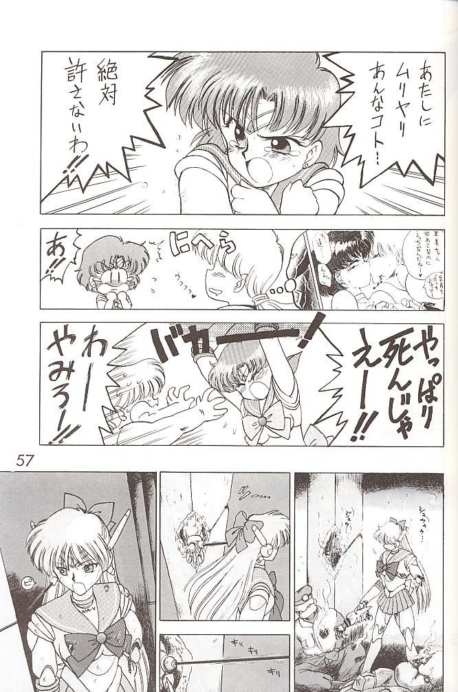 [BLACK DOG (黒犬獣)] STAR PLATINUM (美少女戦士セーラームーン)