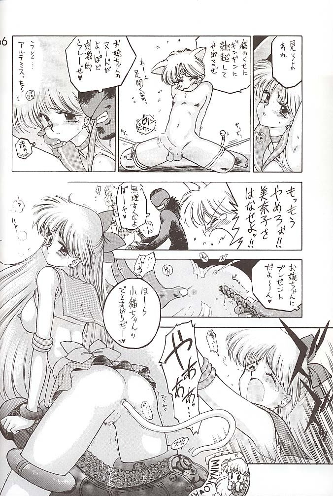 [BLACK DOG (黒犬獣)] STAR PLATINUM (美少女戦士セーラームーン)