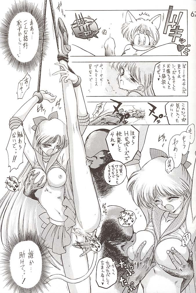 [BLACK DOG (黒犬獣)] STAR PLATINUM (美少女戦士セーラームーン)