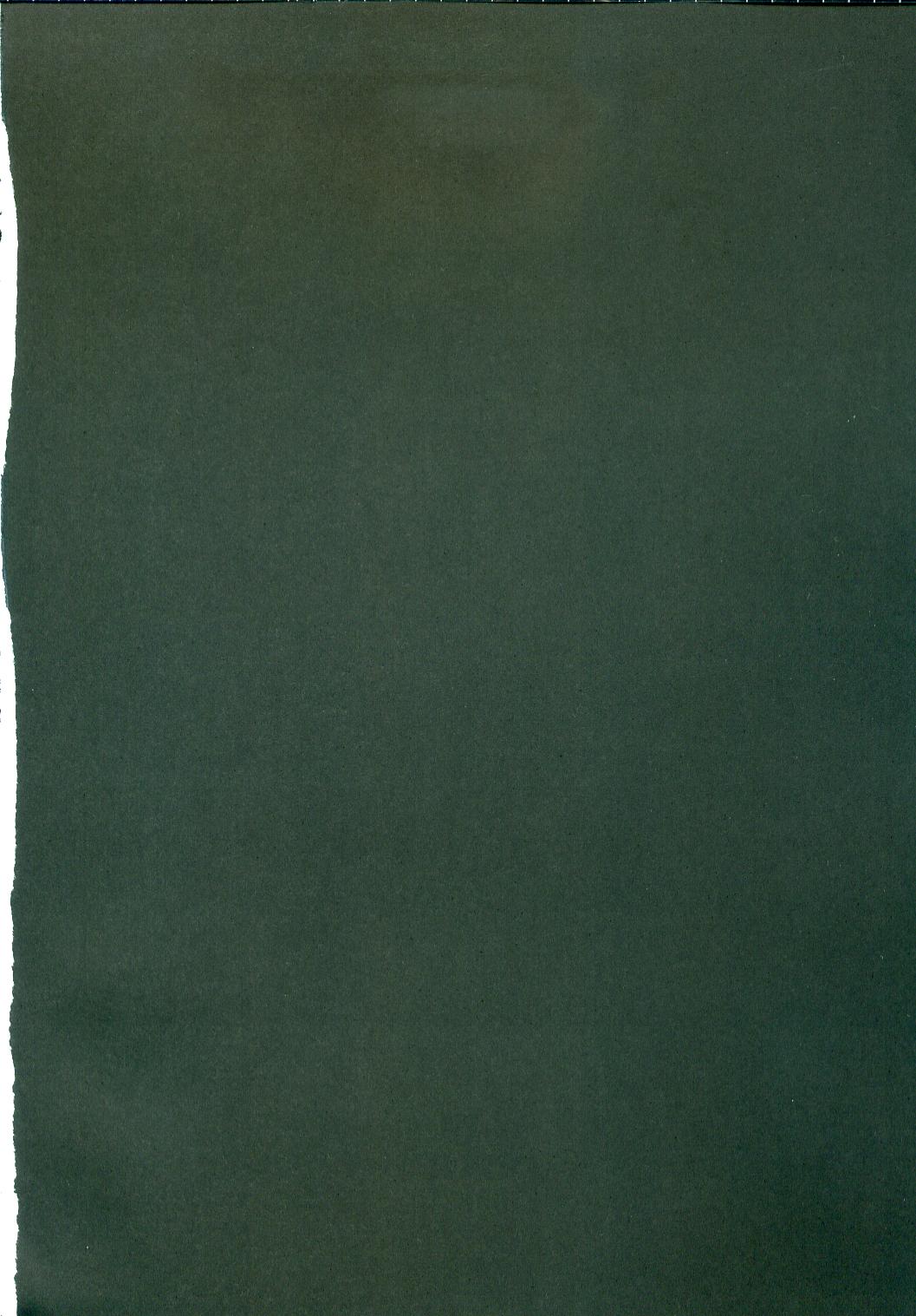 (C72) [方円軒 (稲瀬信也)] 螺旋姫辱め (天元突破グレンラガン)