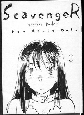 (CR16) [bolze.(rit.)] ScavengeR strikes back!