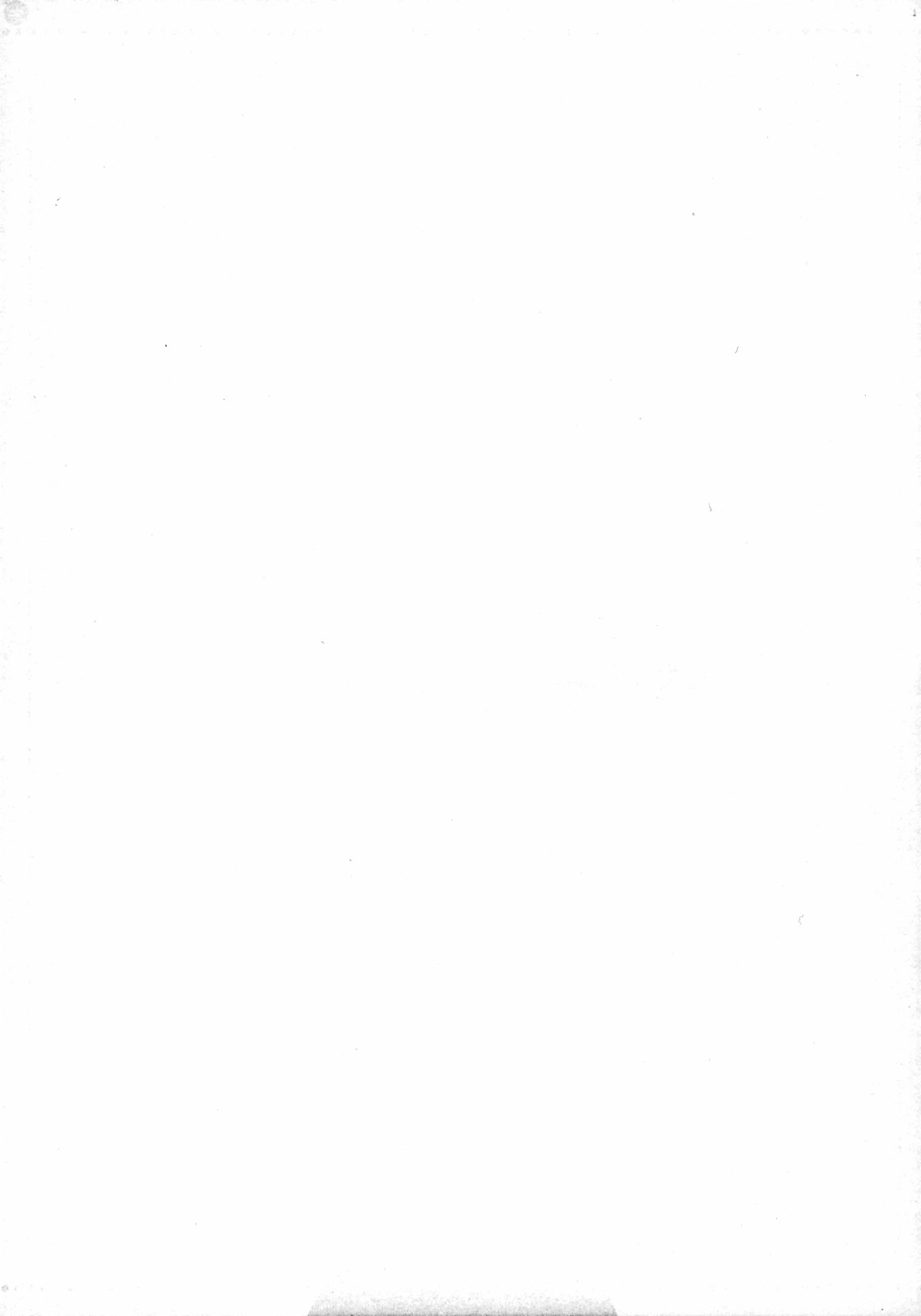 (C72) [PINK (あらいぐま)] 俺がルールだ！！ (コードギアス 反逆のルルーシュ)