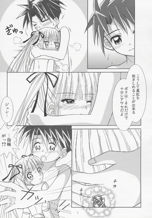 (Cレヴォ37) [光と魔法工房 (Mぽん)] 紅薔薇の棘 (ローゼンメイデン)