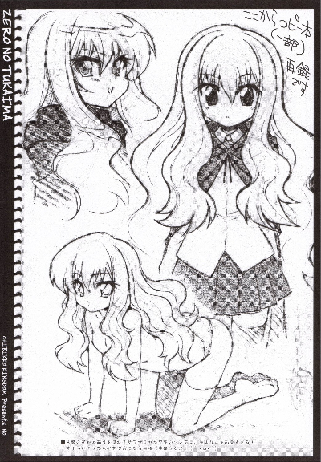 (C71) [CHIBIKKO KINGDOM (けこちゃ)] ゼロのつかいぬ (ゼロの使い魔)