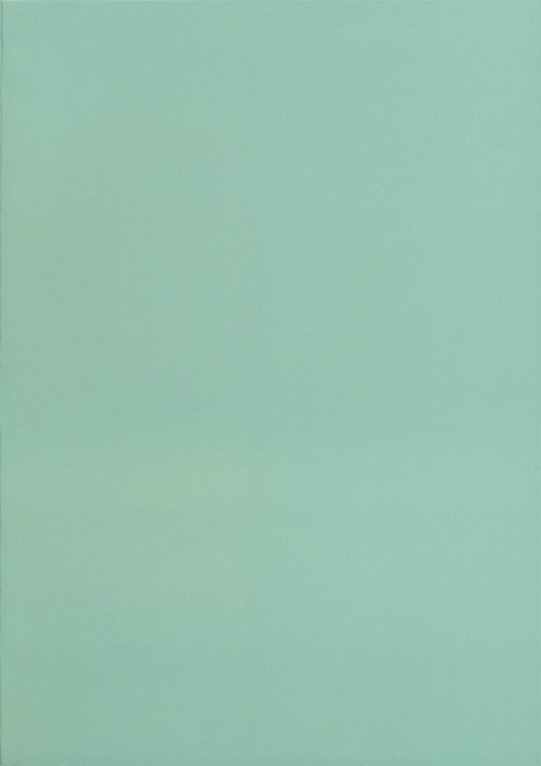 [ri:s (久麻くまこ)] シースルイズ感謝祭 (ゼロの使い魔)