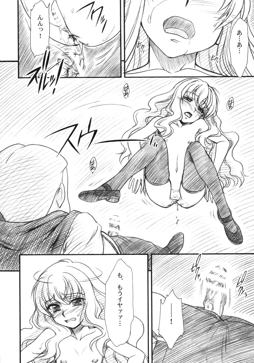 (C71) [MEKONGDELTA & DELTAFORCE (Route39, ぜんき)] VOID (ゼロの使い魔)