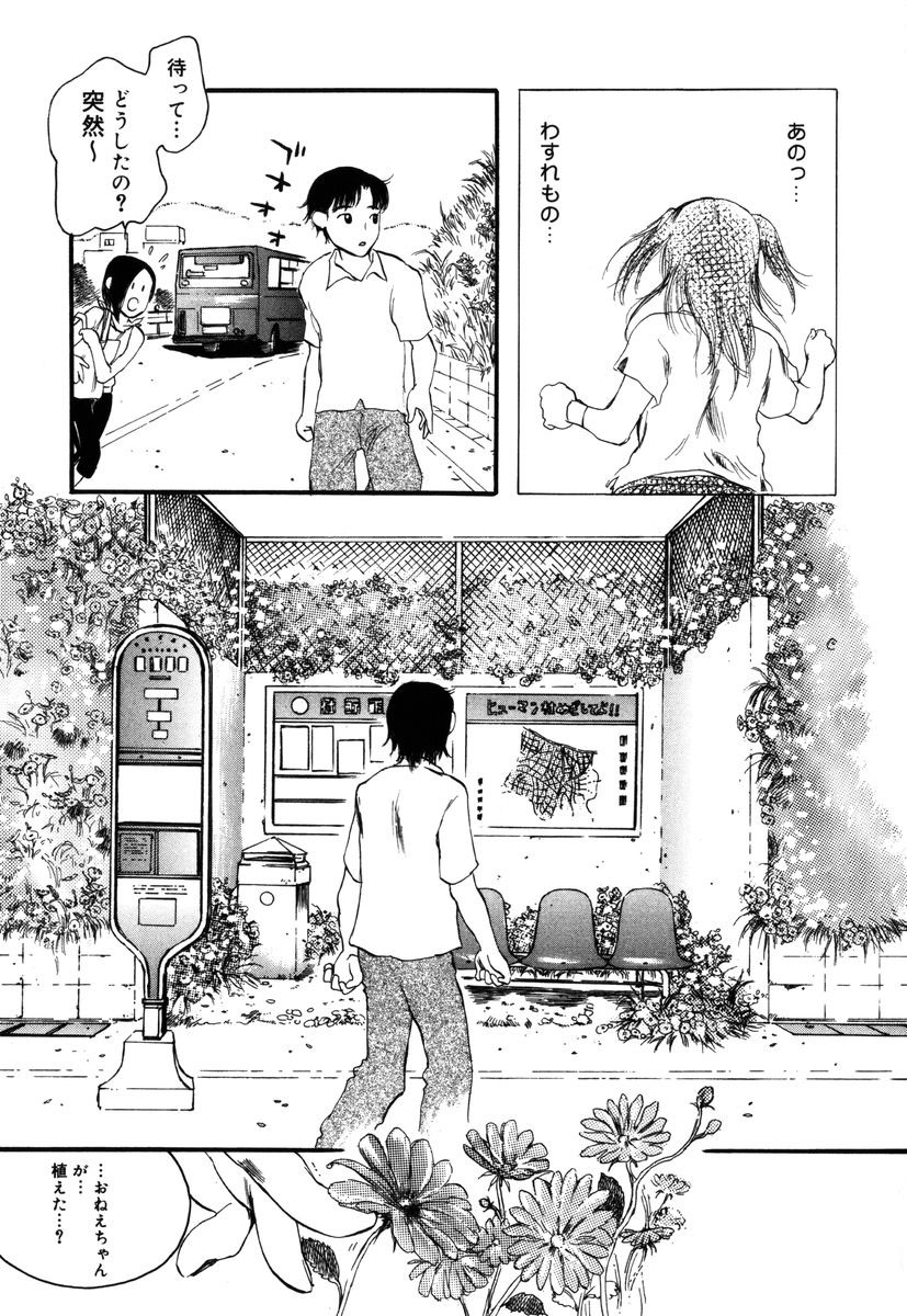 [吉田ふらわ] フラワー・コンプレックス