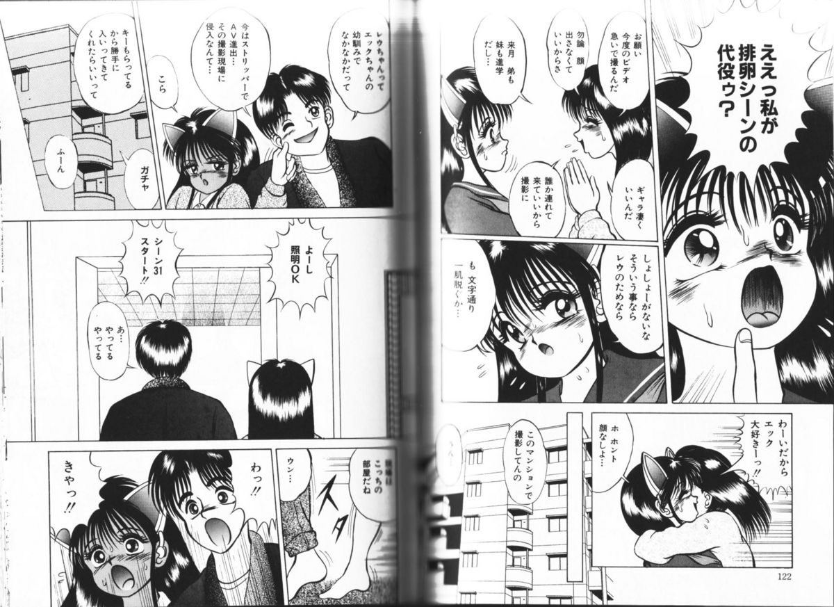 [鋭利菊] ホットスプリング