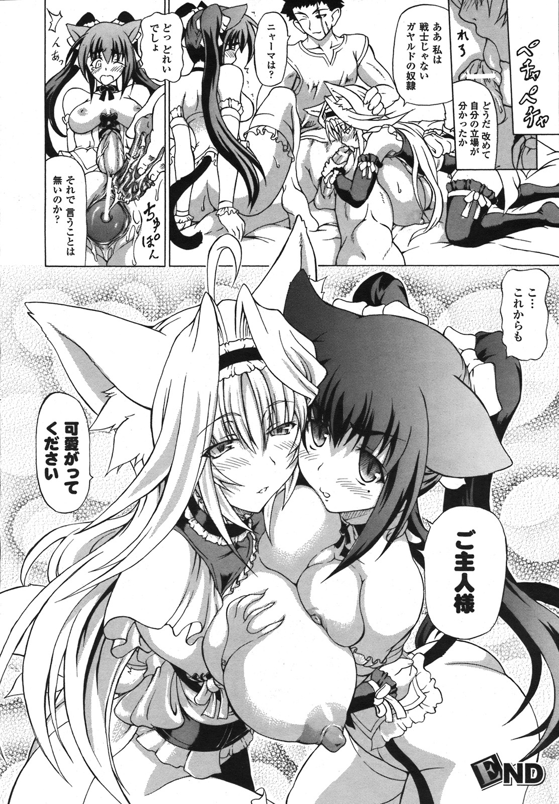 コミックアンリアル 2008年2月号 Vol.11