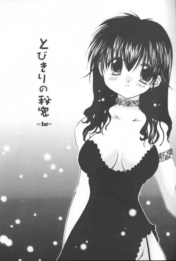 (C64) [桜館 (芹桜さくら)] とびきりの秘密 (犬夜叉)