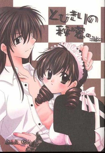 (C64) [桜館 (芹桜さくら)] とびきりの秘密 (犬夜叉)