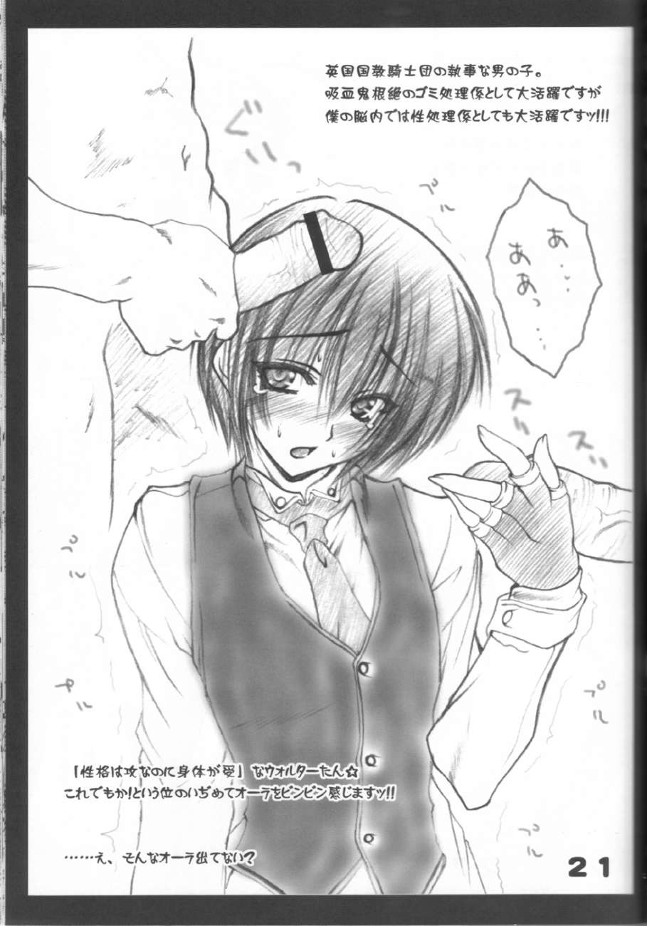 【武装スワンチカ】ヘルシング