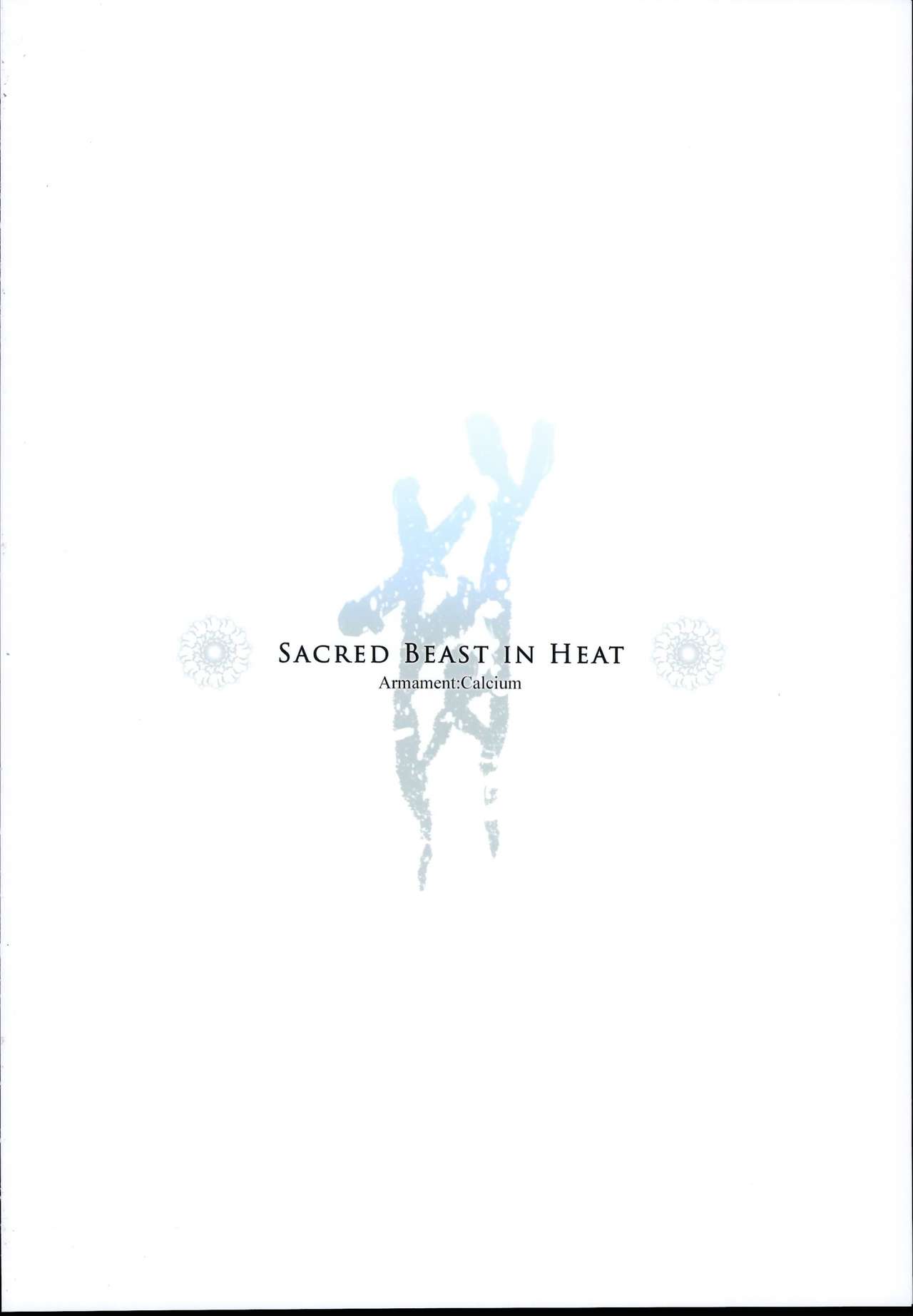 (C95) [武装カルシウム (竹刈シウム)]獣欲教室 (東方Project)