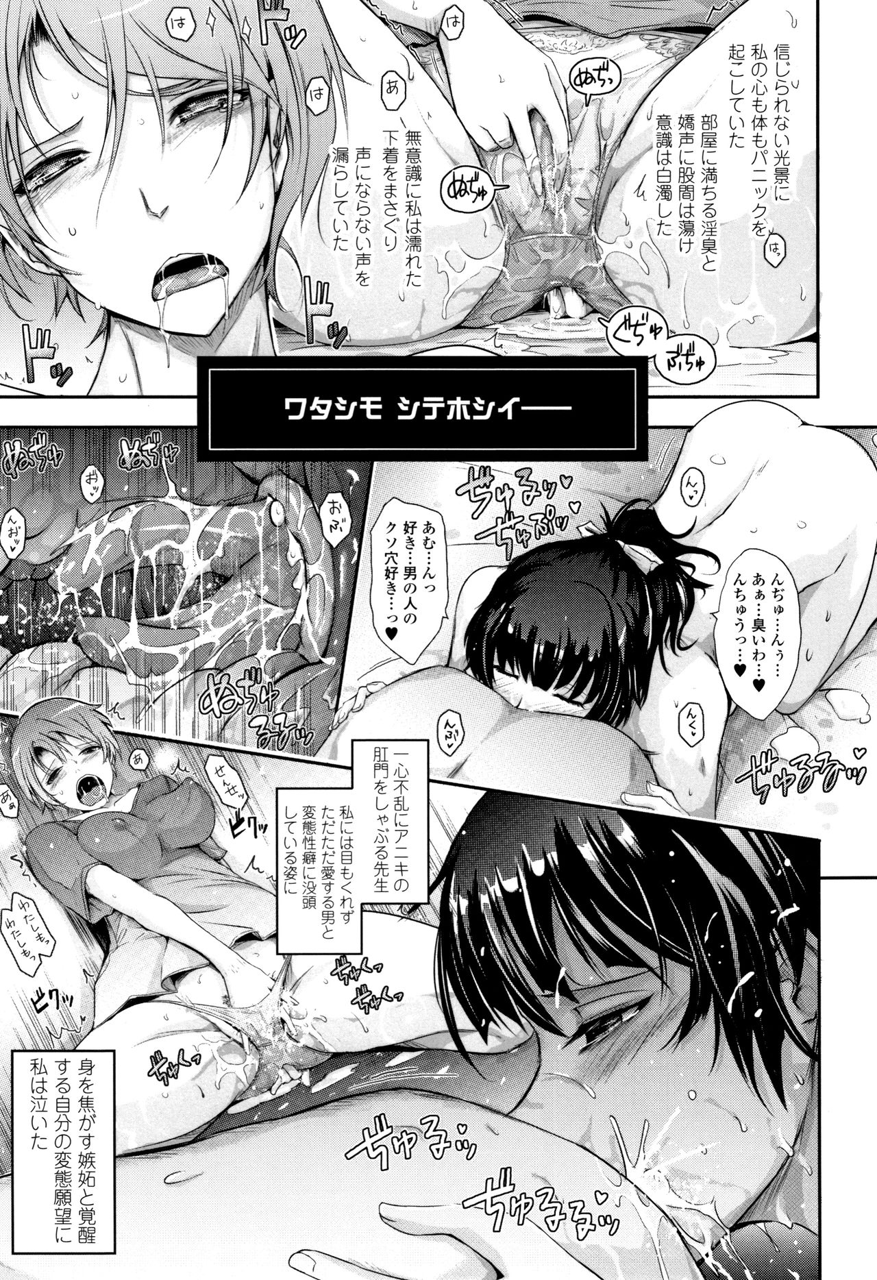 [TANA] 露出コレクション + イラストカード