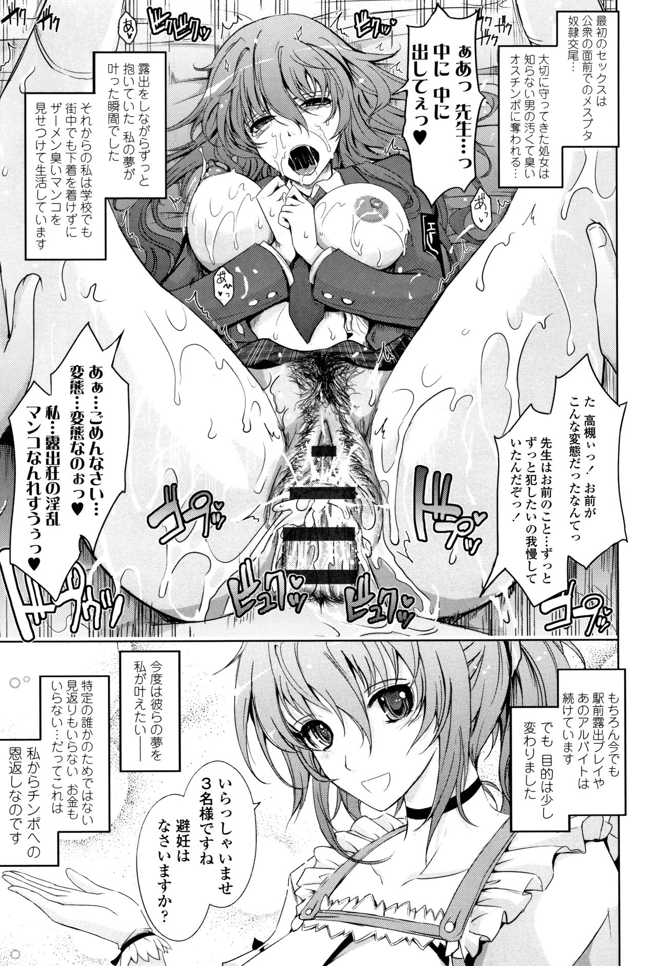 [TANA] 露出コレクション + イラストカード