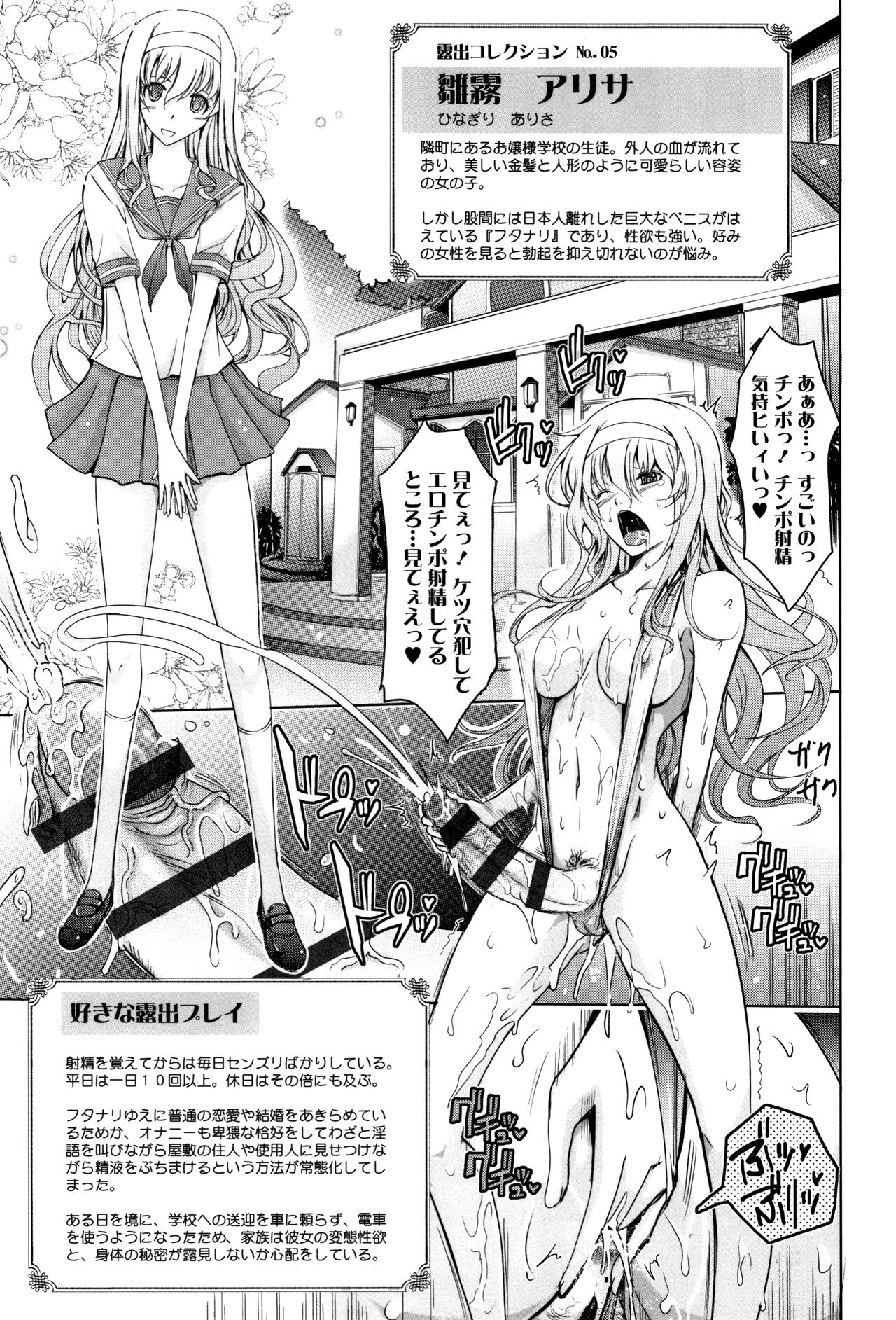 [TANA] 露出コレクション + イラストカード