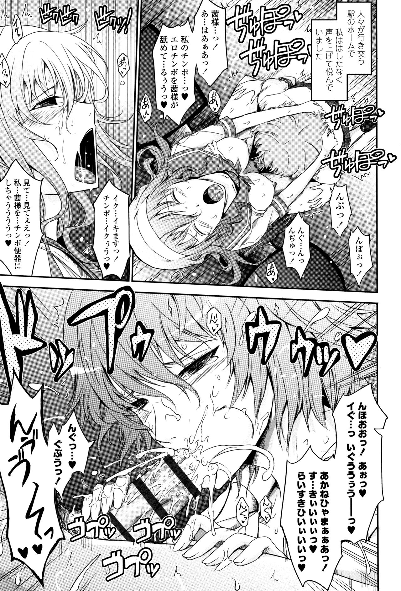 [TANA] 露出コレクション + イラストカード