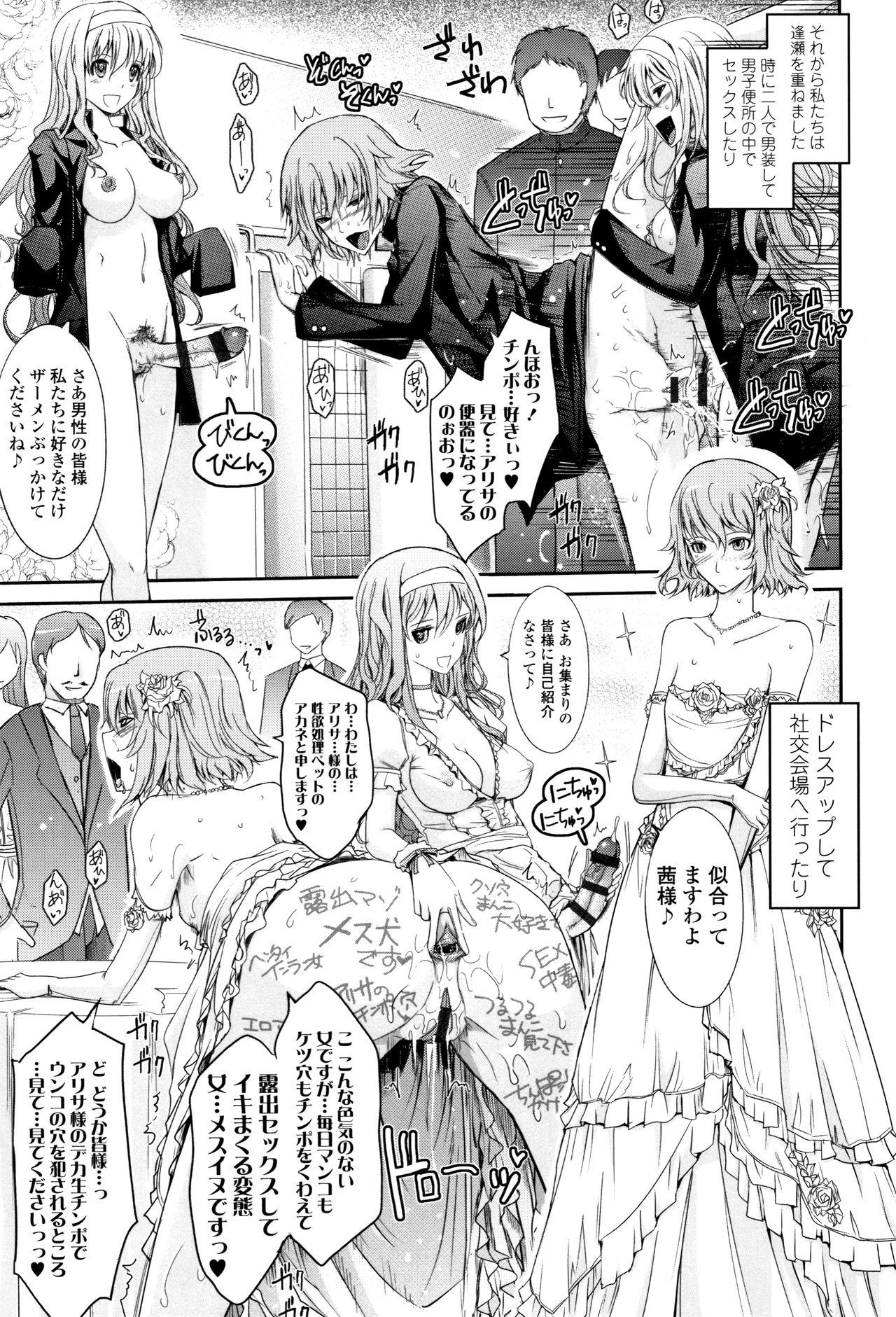 [TANA] 露出コレクション + イラストカード