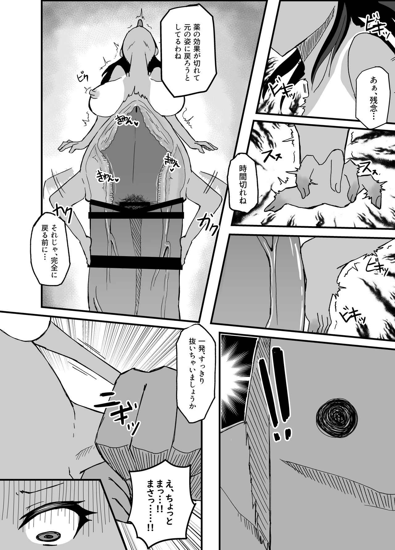 [愛羅武勇] TransfurGirls Auction : 03