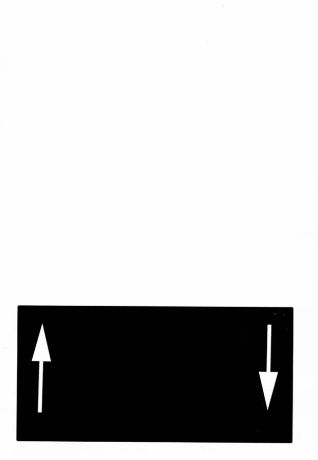 [関西ケモノ連合 (ひよひよ, 三田和夫)] けものけ通信 五周年記念号 (ブラックキャット)