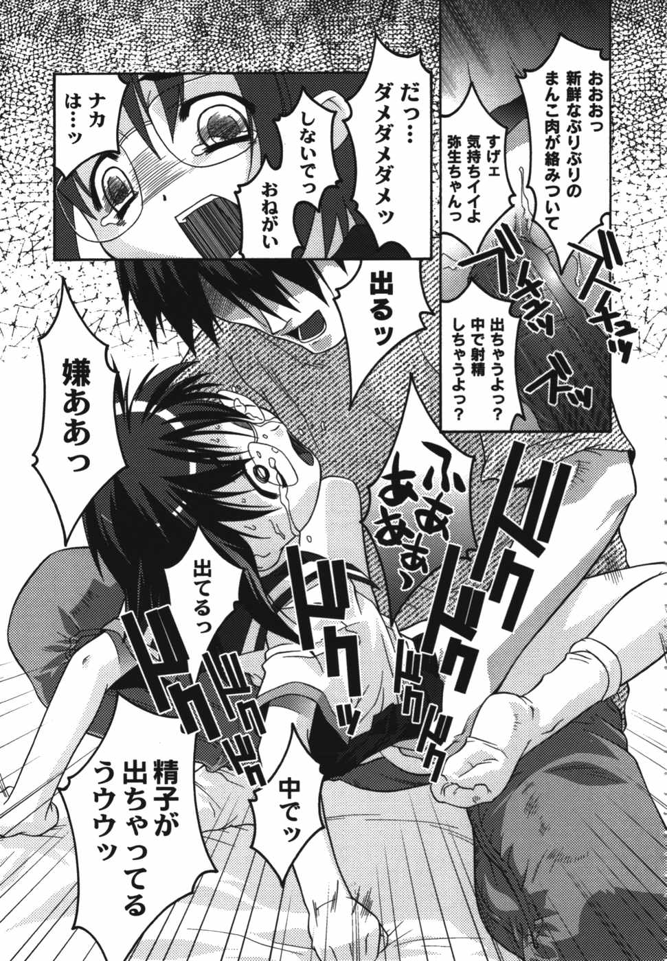 [ひめはち] 鬼畜兄妹凌辱記