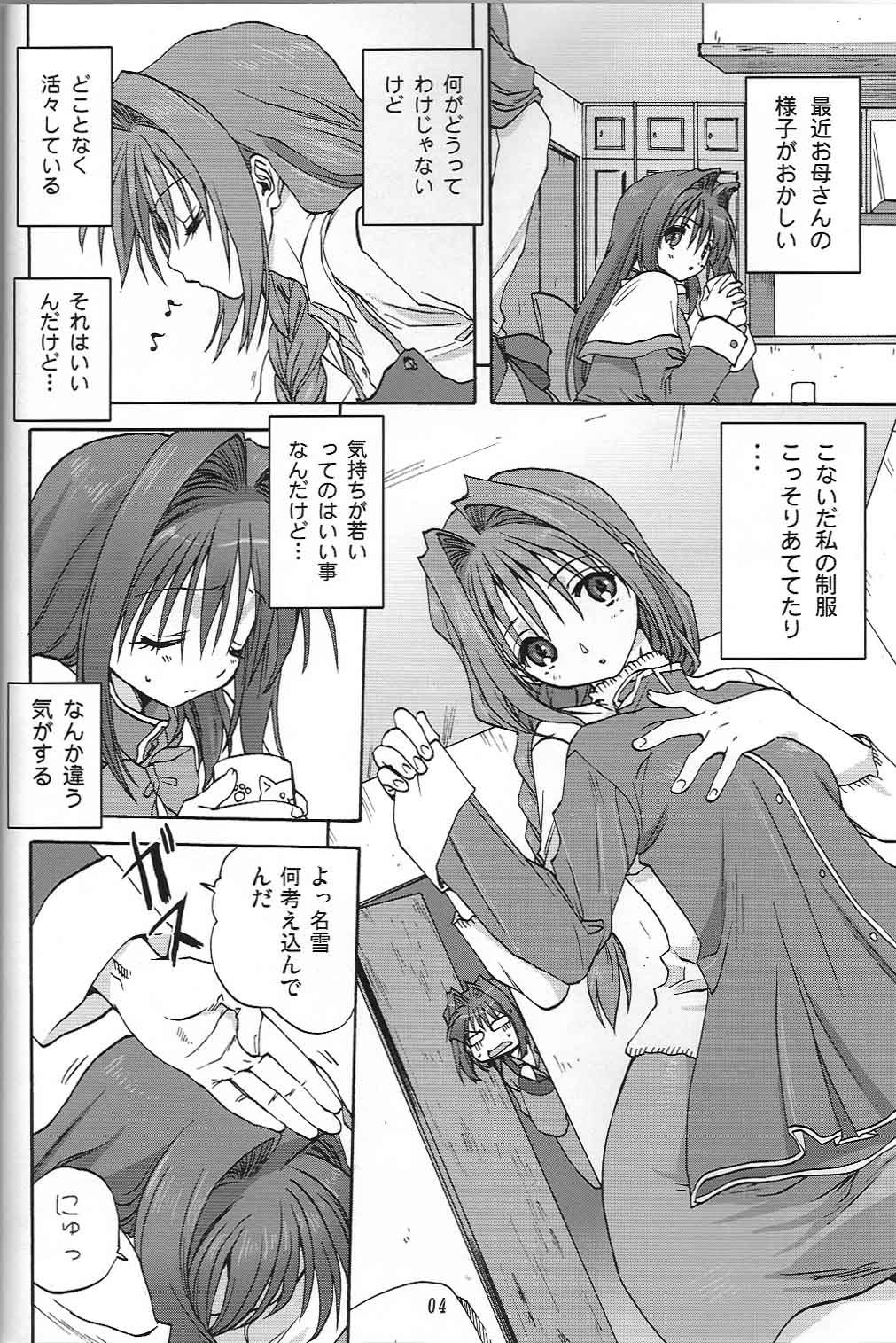 (C73) [みたらし倶楽部 (みたらし侯成)] 秋子さんといっしょ 2 (カノン)