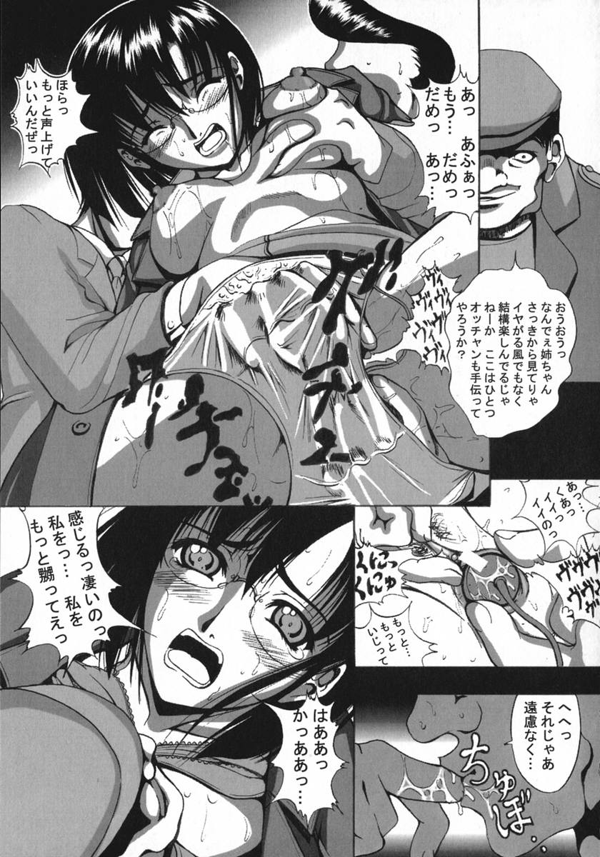 [菊水] 琥珀少女