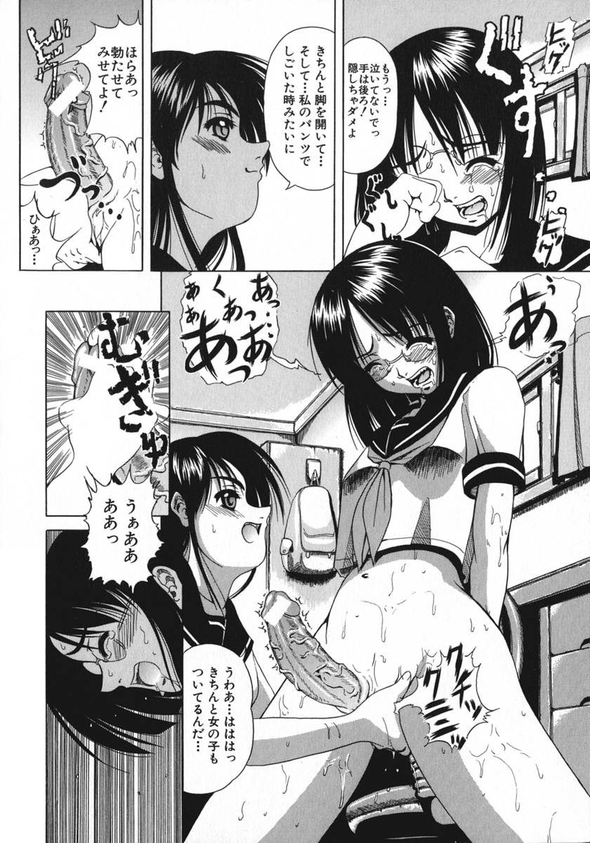 [菊水] 琥珀少女