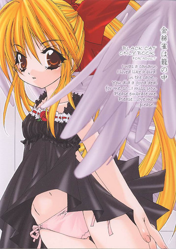 【ヴォルモンド】カナリヤハカゴノナカ（黒猫）