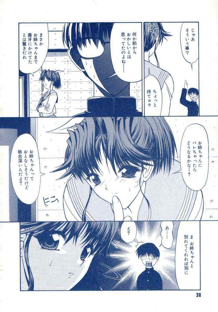 【キノひとし】てしごとガイドブック