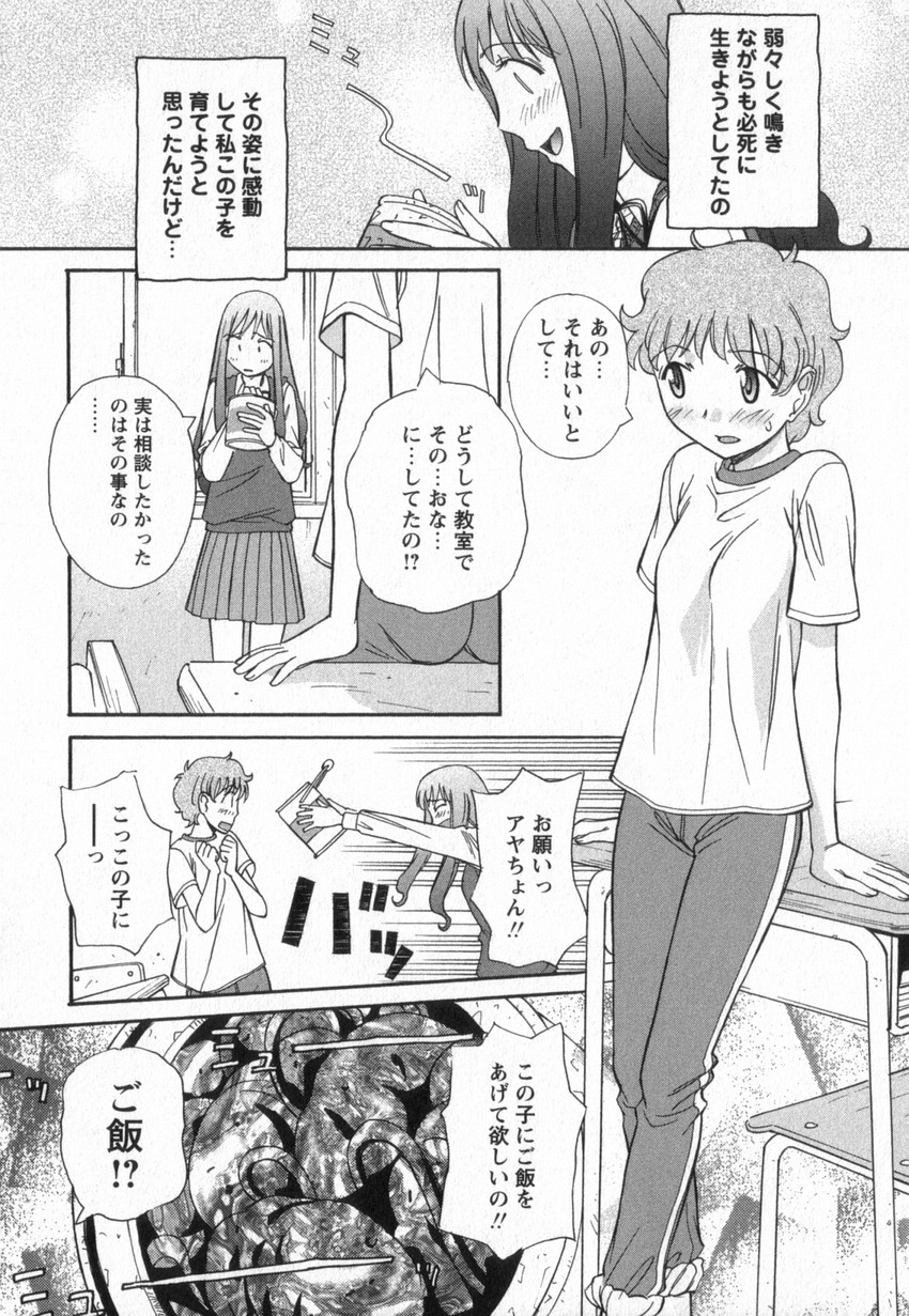 [あんみつ草] HAPPY VALLEY