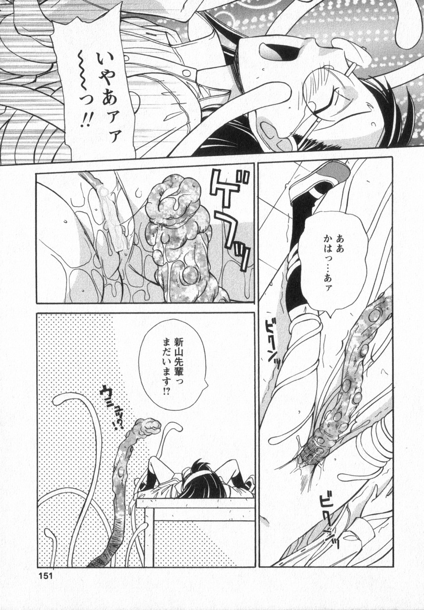 [あんみつ草] HAPPY VALLEY