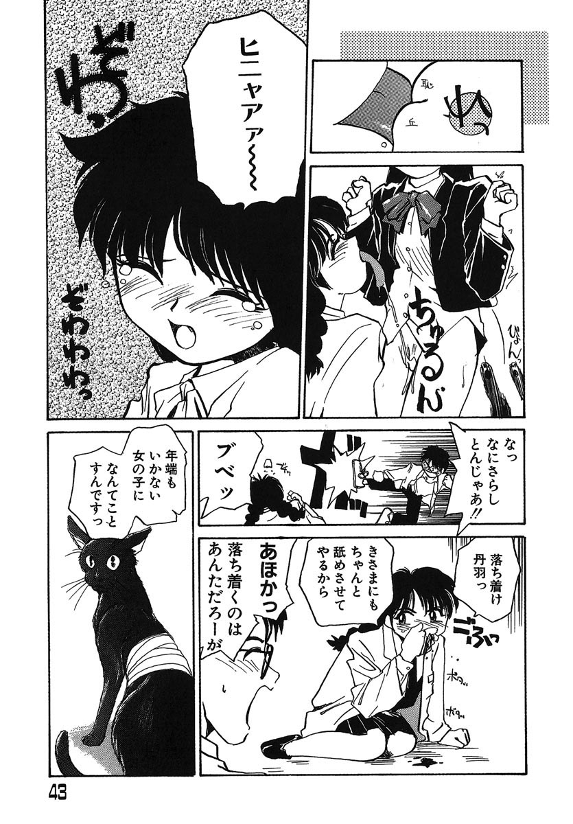 [RaTe] よきかな。 愛蔵版