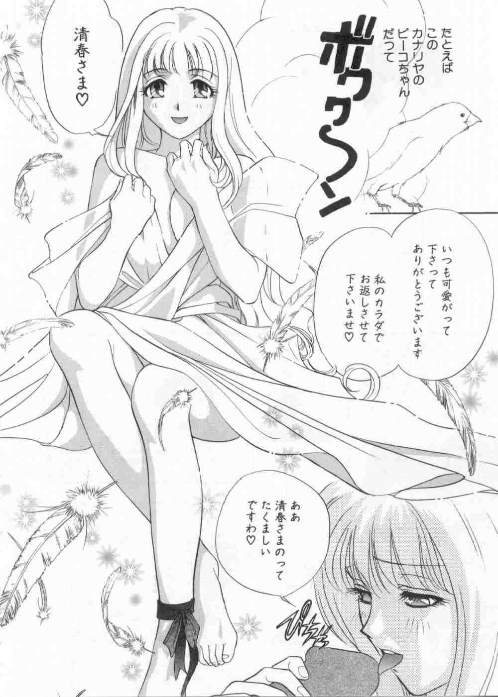 [ドリルムラタ] 破廉恥