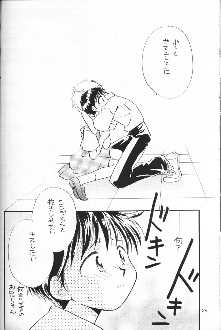 (C54) [日光企画 (後藤乃子)] 小さな恋のメロディ (新世紀エヴァンゲリオン)